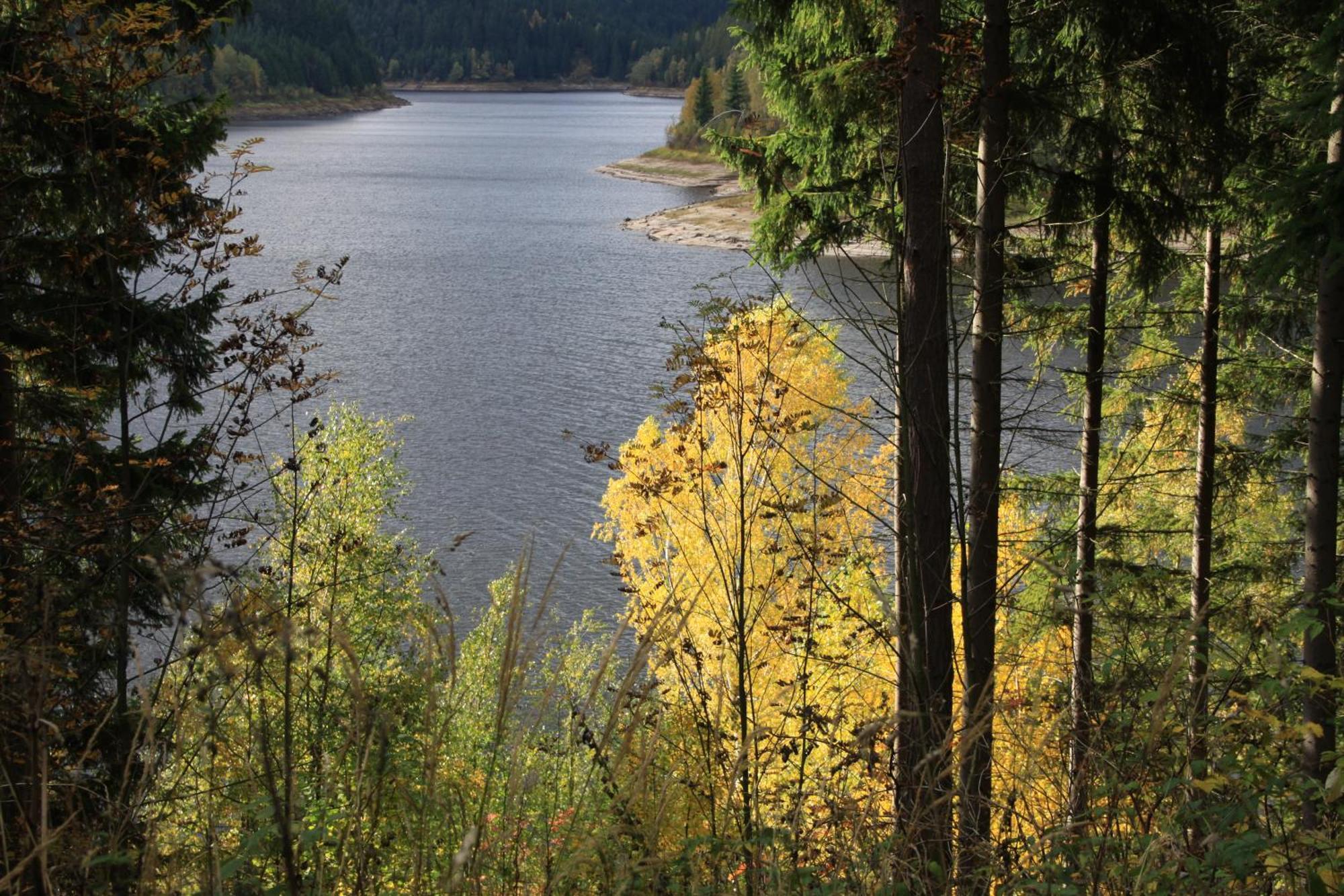 Das Jagdhaus Waldidyll Erzgebirge Hartenstein  Eksteriør bilde